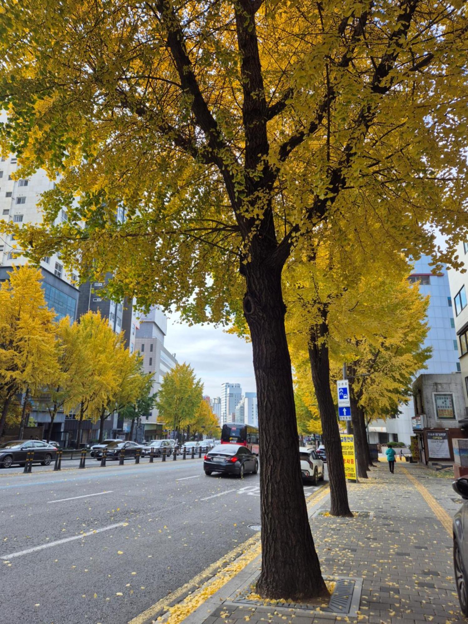 Let'S Stay Seoul Exterior photo
